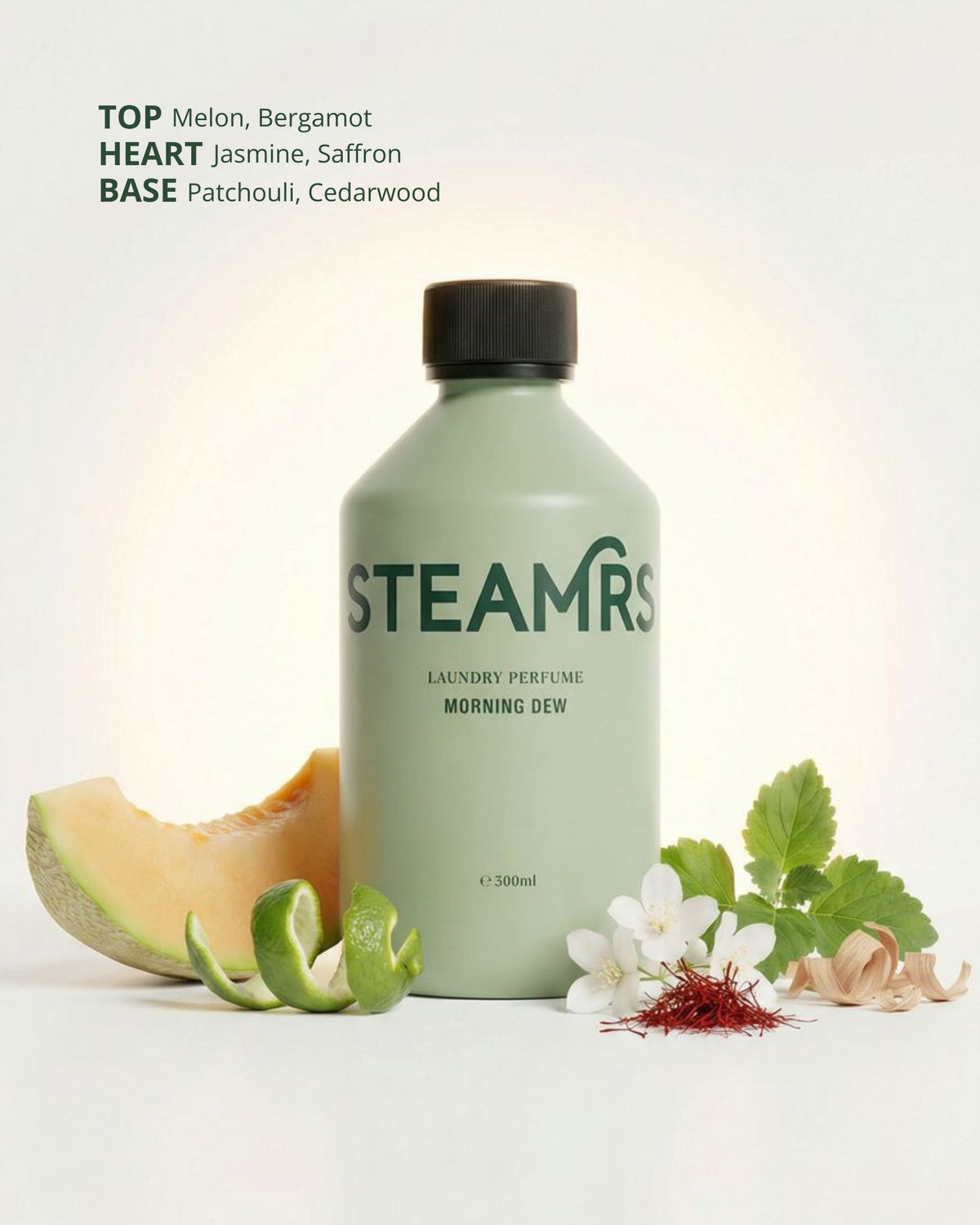 Steam & Care Bundle - STEAMRS