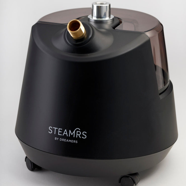 Professional Garment Steamer — Black